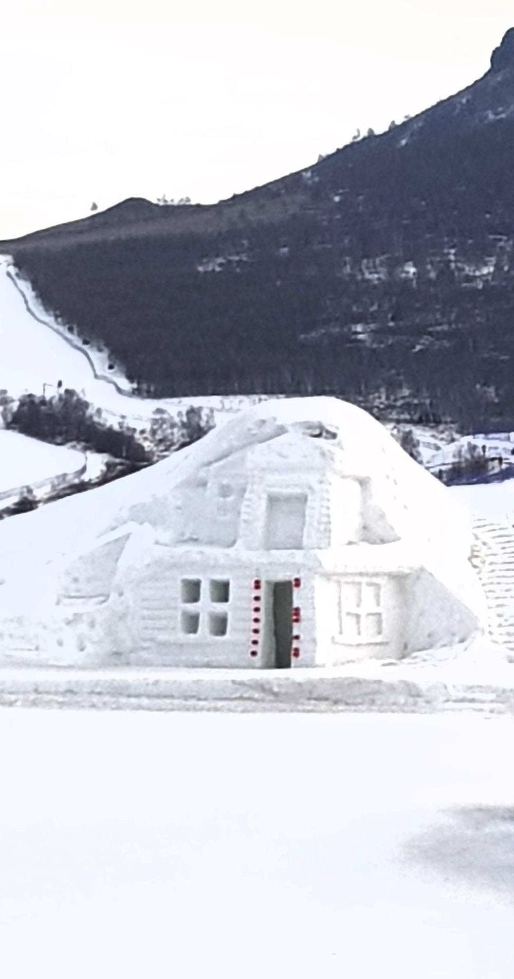 Igloo House