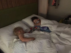 IMG_3601.JPEG