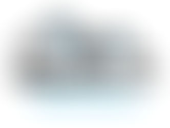 Inspection Beyond Your Expectations!