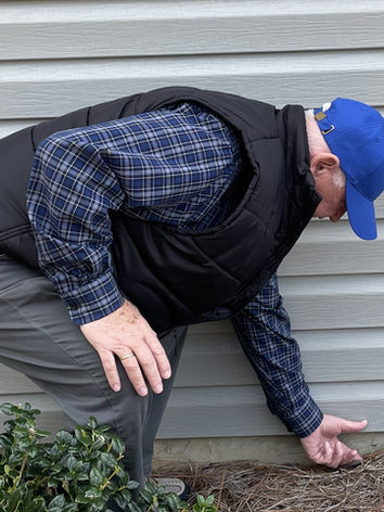 Pine straw too close to siding