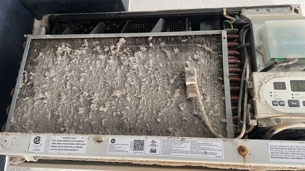 Dirty Evaporator Coil