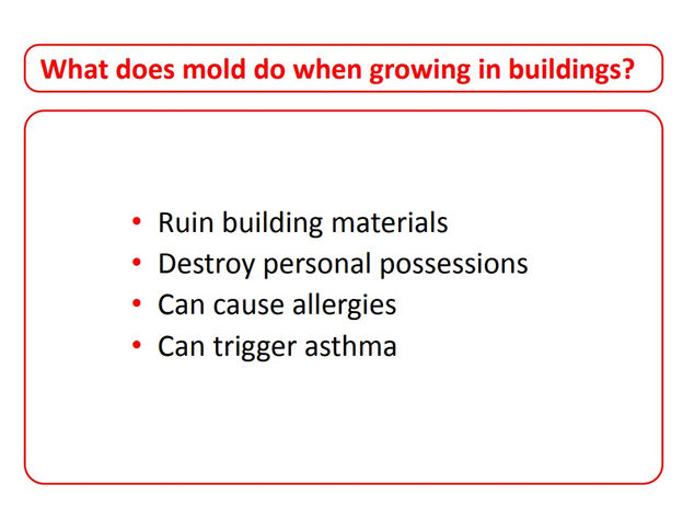 Screenshot 2023-01-24 111507.jpg