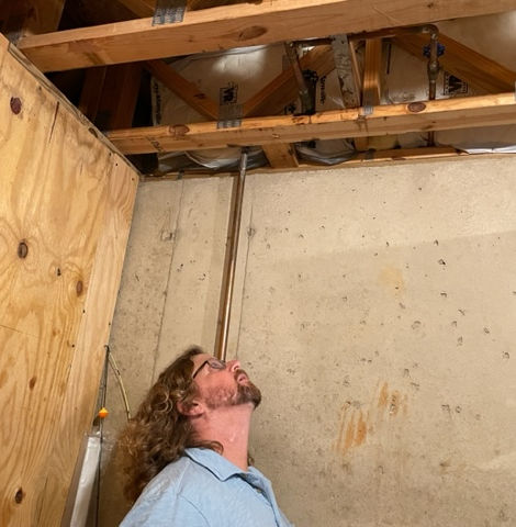 Inspection in Action