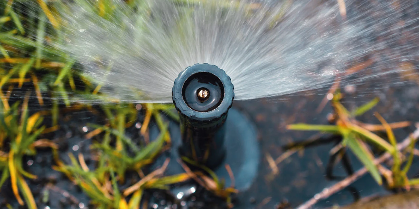 leakinghead1077969366rf.webp