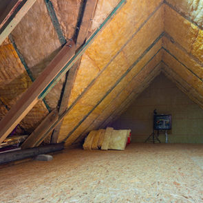 Inspector Fred inspecting at the attic