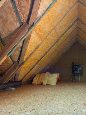 Inspector Joshua Inspecting attic