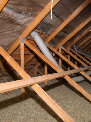 Inspector Sarah Inspecting deck