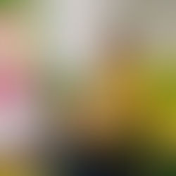 Розвиваємося, навчаємося, граємося! Група загального розвитку!