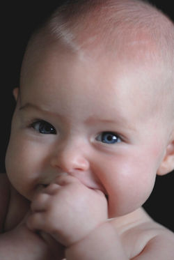 baby photography