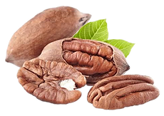 Pecans spot for website.png