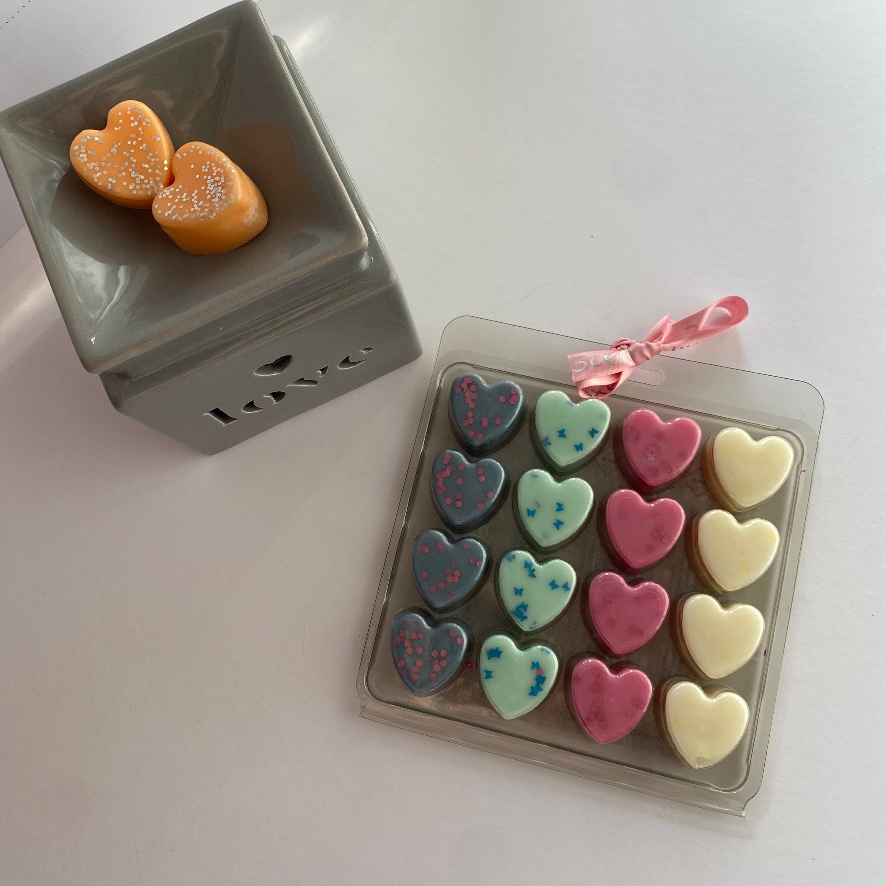 Perfume Inspired Collection - Luxury 16 Wax Melt Clam Shell