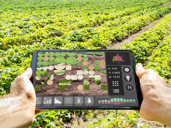 Landwirtschaft digital