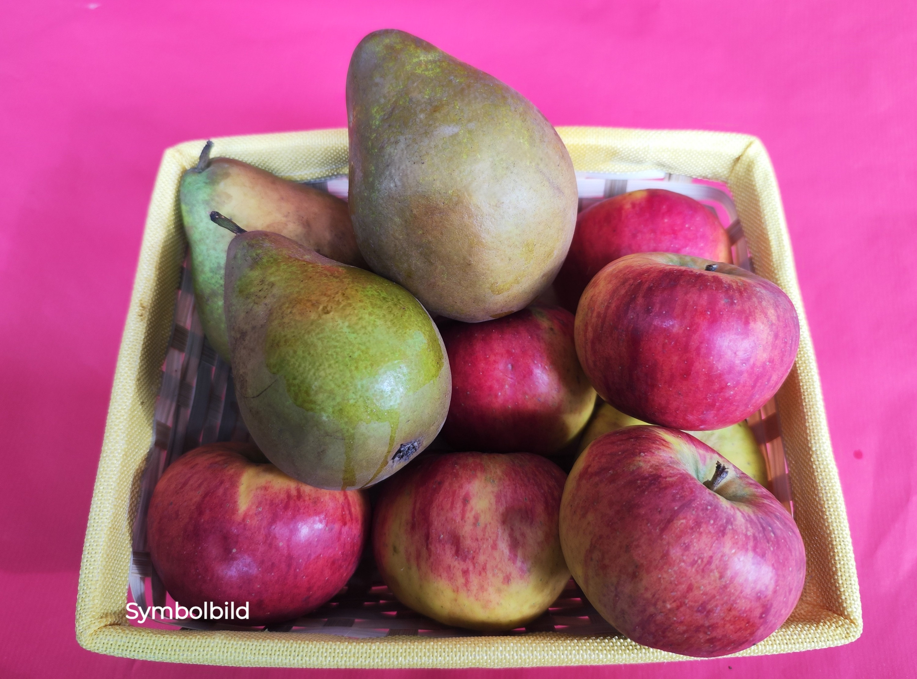 Obstbox (klein)