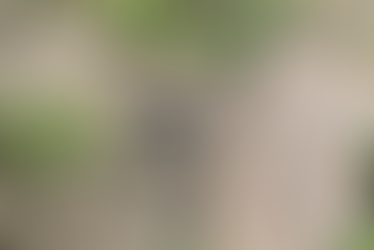 Shapiro CM Promotes a Healthy Workplace Culture