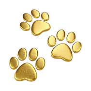 —Pngtree—set of gold paw prints_20466250.png