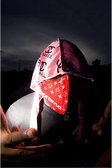 WALLY B3.png