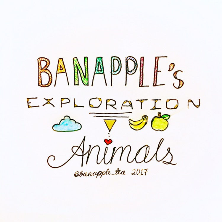 Exploration | 탐구 | 探検