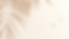 名称未設定のデザイン.png