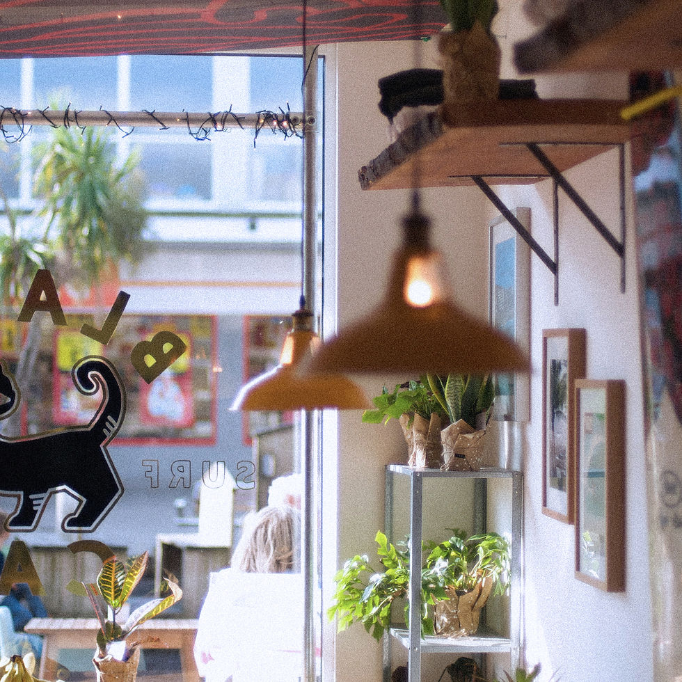 62b2e18013ba051b3adb50a8_Black_Cat_2_0006_Layer-4 (1).jpg