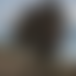 The Misplaced Burden of Proof