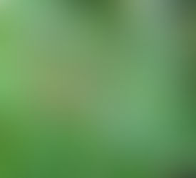 A Short Devotional About Discipleship