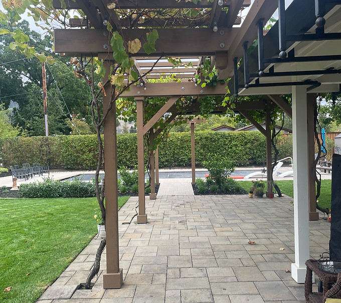 trellis design_edited.jpg