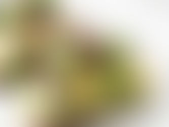 Healthy Breakfast Ideas + Recipes