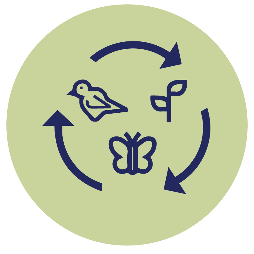 biodiversity-unfilled.png