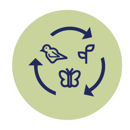 soil-health-regenerative.png.png