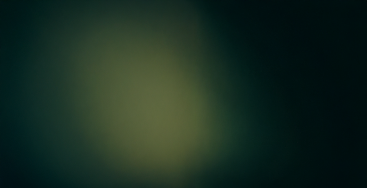 blank green canvas (1).png