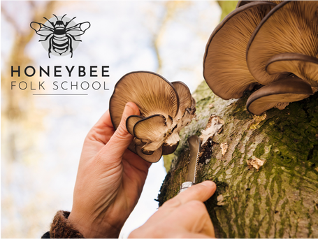 Honeybee Folk School