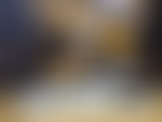 Zawodnicy Akademii Sportów Walki Next Level ponownie na podium. Mistrzostwa Polski No Gi Jiu Jitsu.