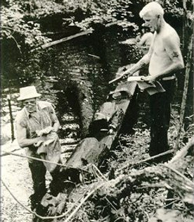 Hewitt Sawmill.jpg
