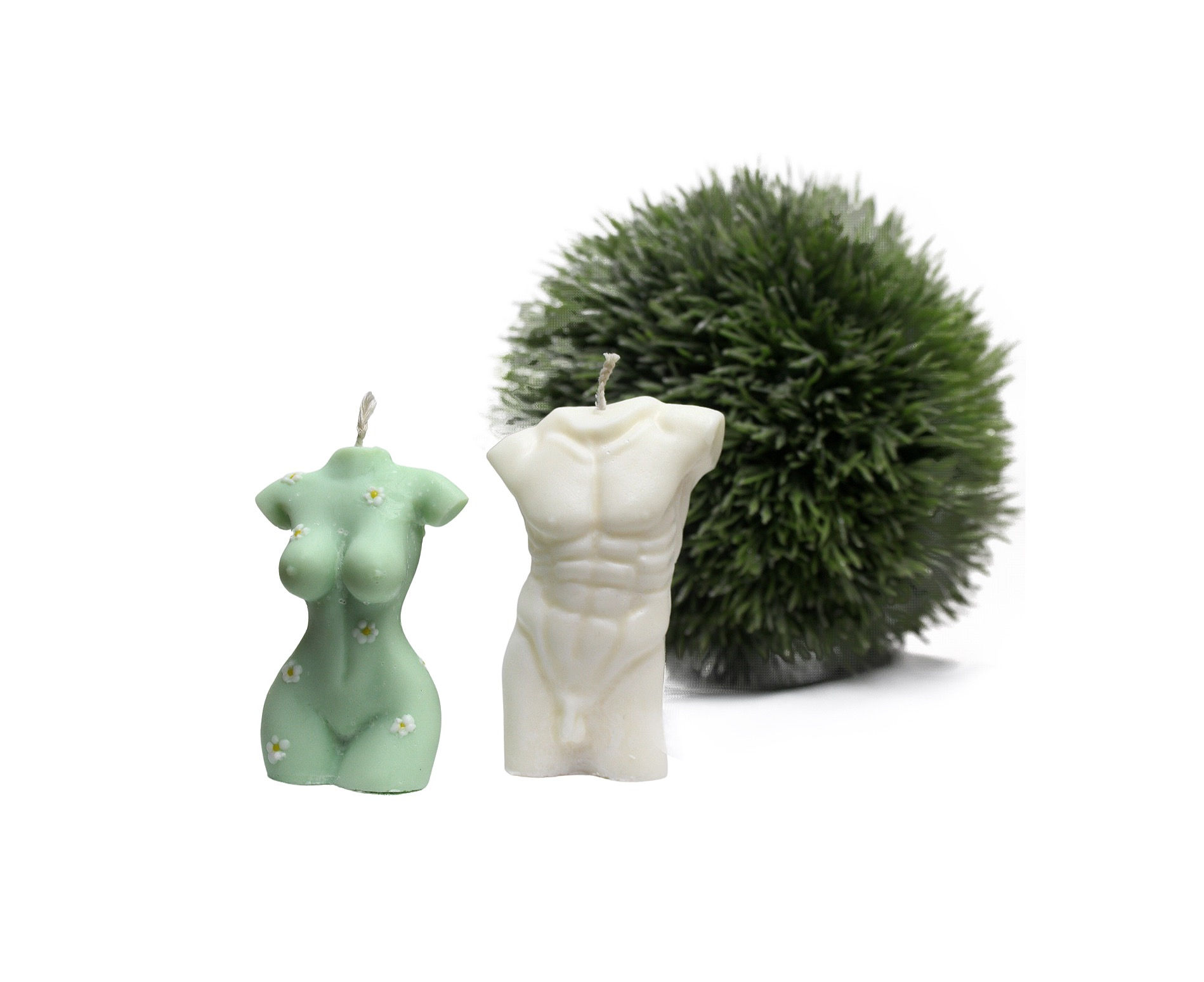 Male & Female Beauty