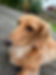 IMG_7655.jpeg