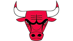 bulls no text logo png.png