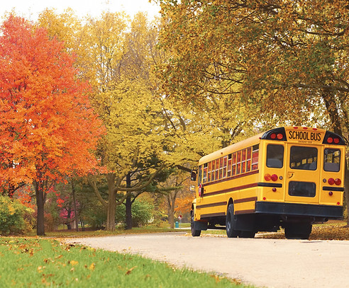 School Bus
