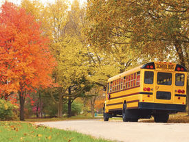 Back-to-School Lunch Roundup