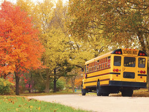 Starting a New School Year with Food Allergies: the Basics