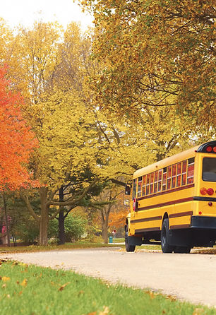 School Bus
