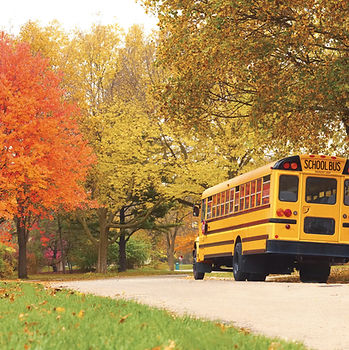 School Bus
