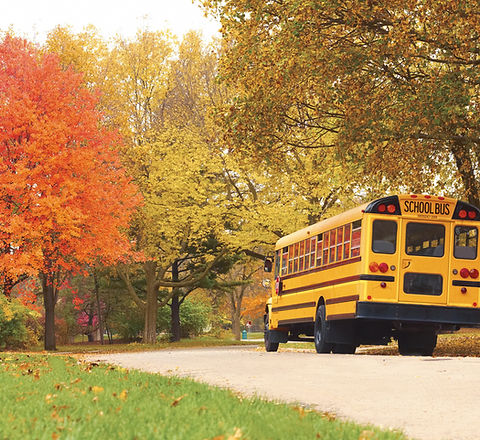 School Bus