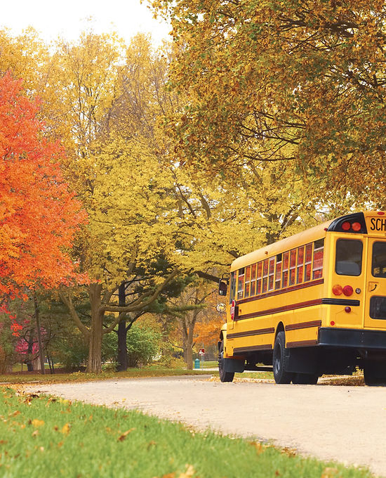 School Bus