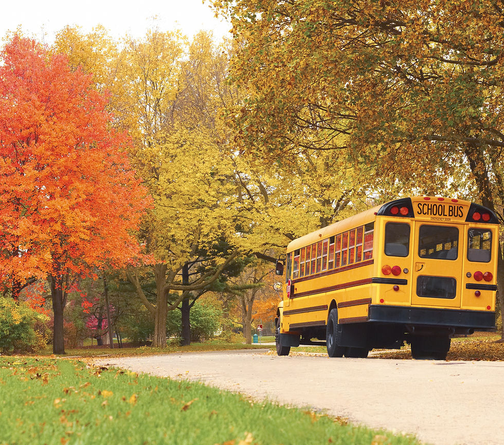 Autumn School Bus