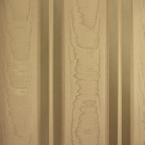 Classic Stripes - CT889114