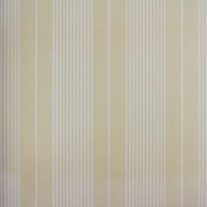Classic Stripes - CT889047