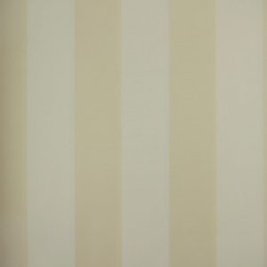 Classic Stripes - CT889009