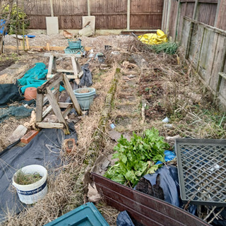 Community Allotment | Blackpool | The Hub South Shore
