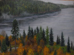 Birches, Holland Lake