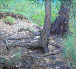 Eroded Bank, Mississippi River